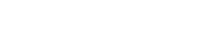 FOCUS ON SHAPE